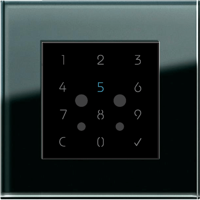 A photo of a security keypad used as part of FBS facial recognition panels.